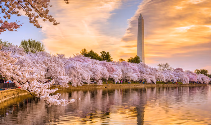 DC AI Week