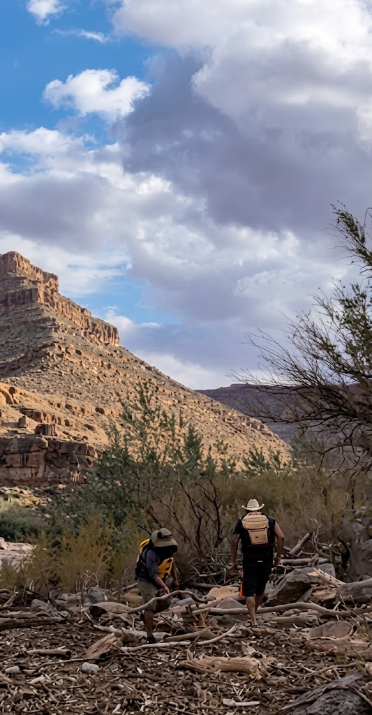 Two crew members clearing woody debris and dead brush in a dry canyon landscape