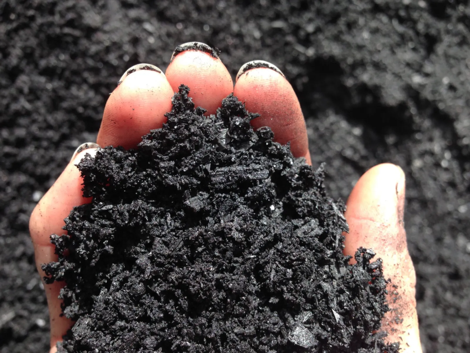 Biochar soil treatment
