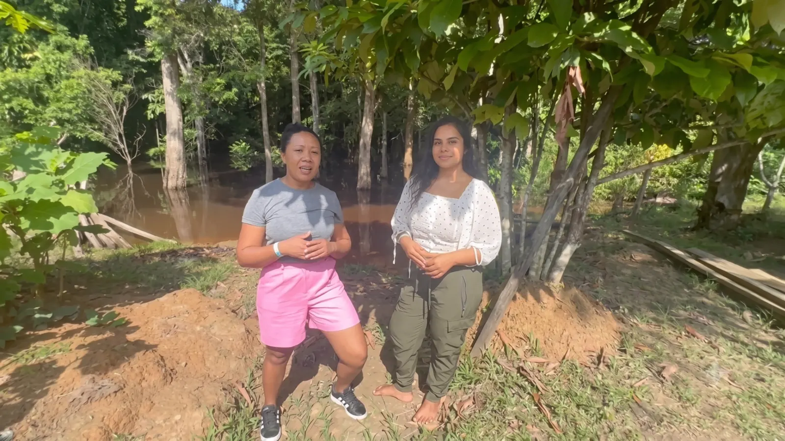 Community reforestation and biodiversity mapping along the Rio Negro in the Amazon near Manaus, Brazil