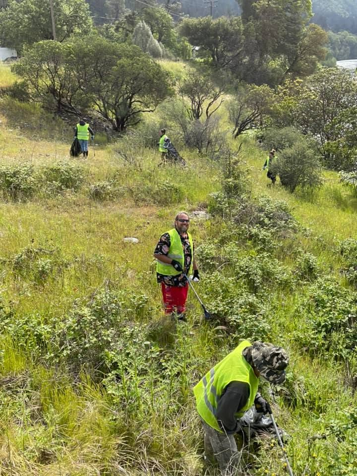 Reforestation native tree planting