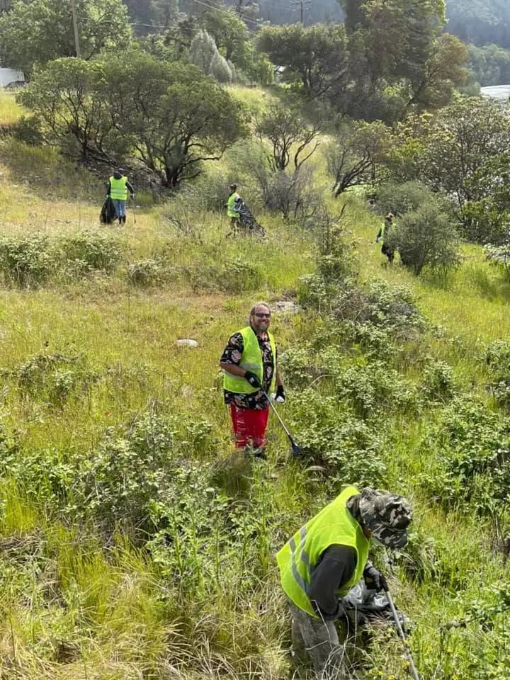 Reforestation native tree planting