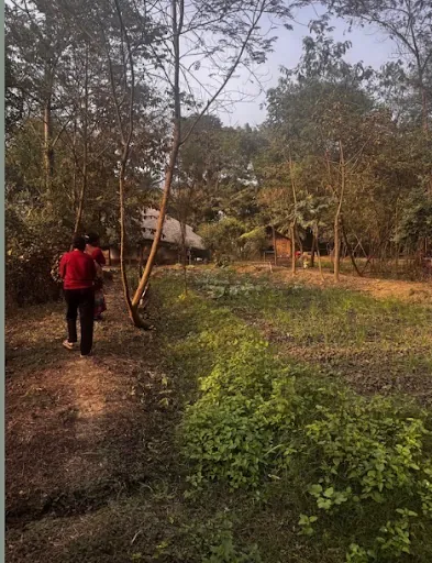 Rice paddy land site in West Bengal