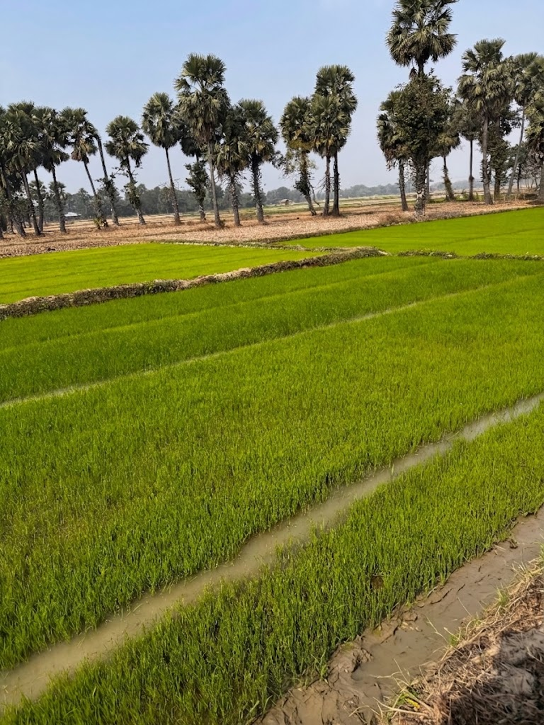 West Bengal